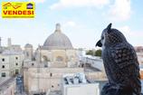 CENTRALISSIMO E LUMINOSO APPARTAMENTO CON VISTA PANORAMICA in Vendita